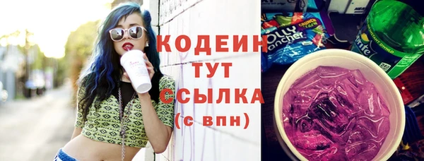 крисы Надым